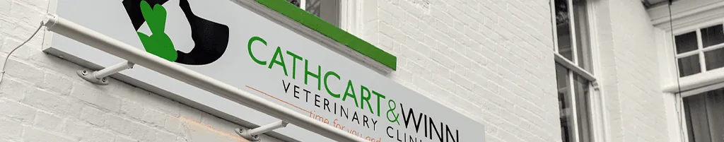 VIP Pet Health Plan T&Cs