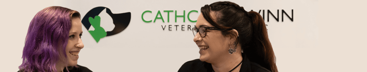 Meet Cathcart & Winn Veterinary Team