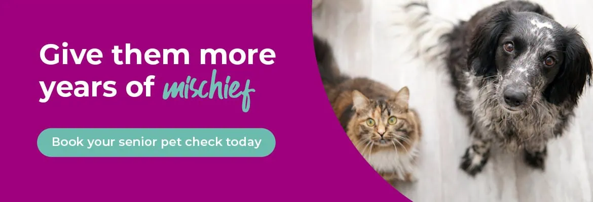 Vets in Farnham | Vets in Aldershot | Cathcart & Winn Veterinary Clinic