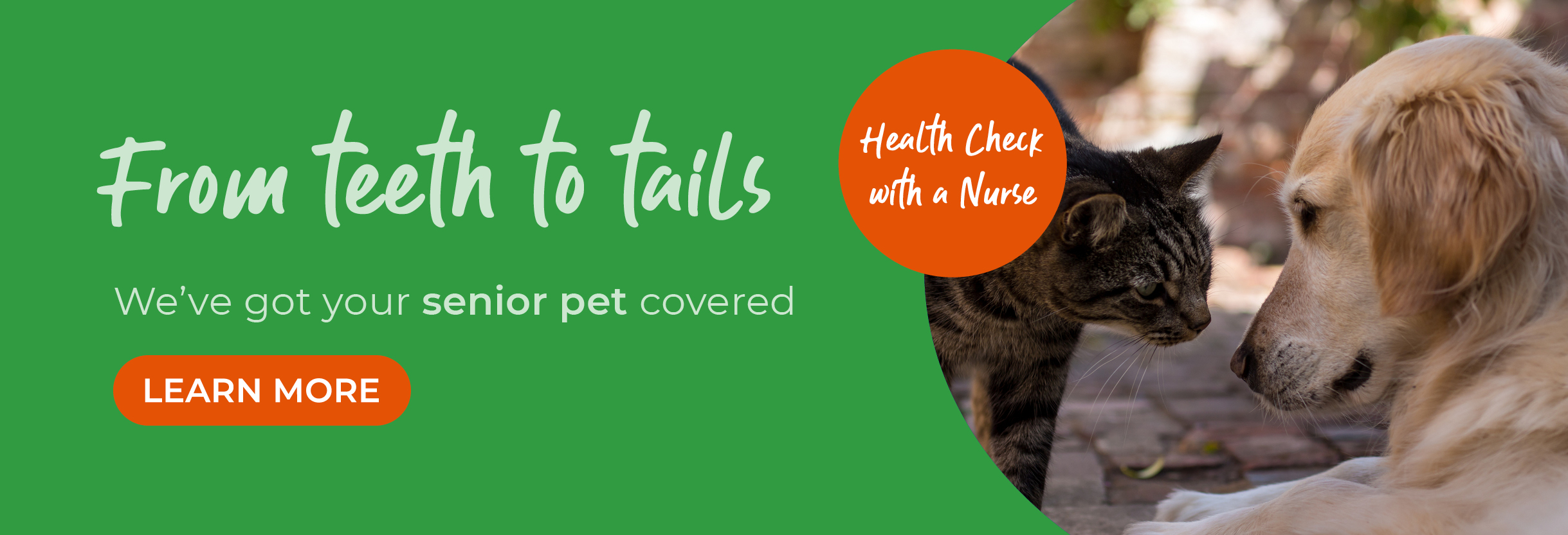 Vets in Farnham | Vets in Aldershot | Cathcart & Winn Veterinary Clinic