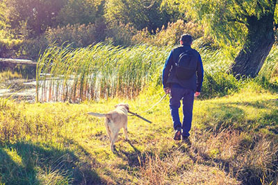 Cathcart and Winn proudly sponsor Wellies &amp; Walkies 2020