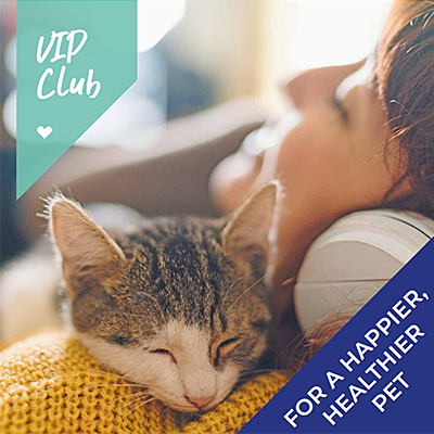 5 benefits to joining our Pet Health for Life Plan