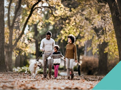 Keeping your pets safe this autumn