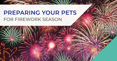 Preparing your pets for firework season in Farnham