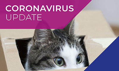 Latest update from Cathcart &amp; Winn
