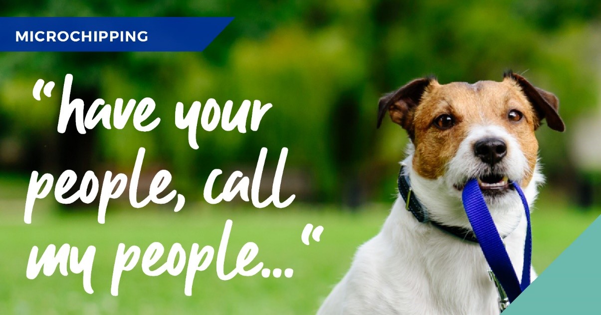 Cathcart &amp; Winn in Aldershot talk about the importance of microchipping your pet
