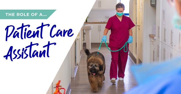 The role of a patient care assistant in Farnham