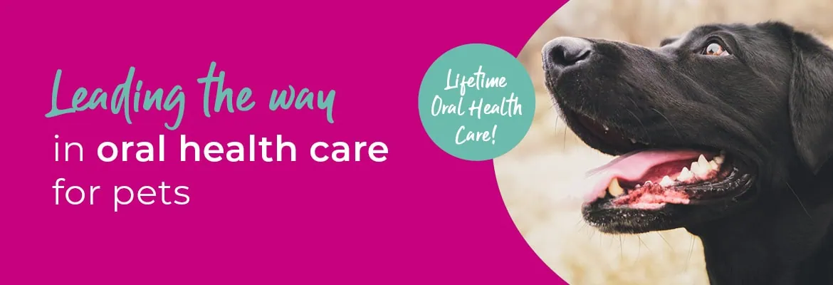 Vets in Farnham | Vets in Aldershot | Cathcart & Winn Veterinary Clinic