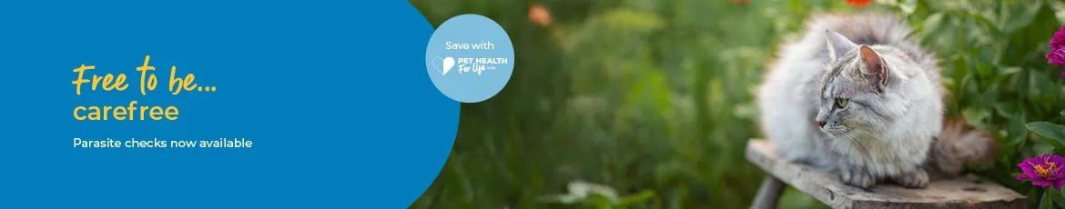 Tick, Flea, and Worm Prevention for Dogs