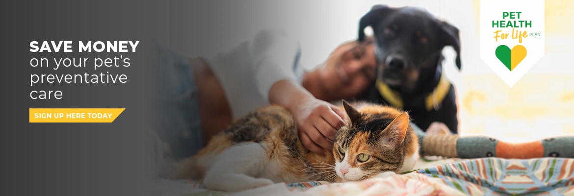 Save vet best sale clinic