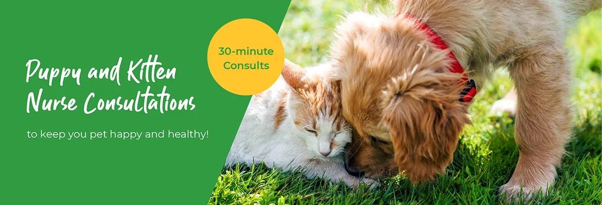 Vets in Farnham | Vets in Aldershot | Cathcart & Winn Veterinary Clinic