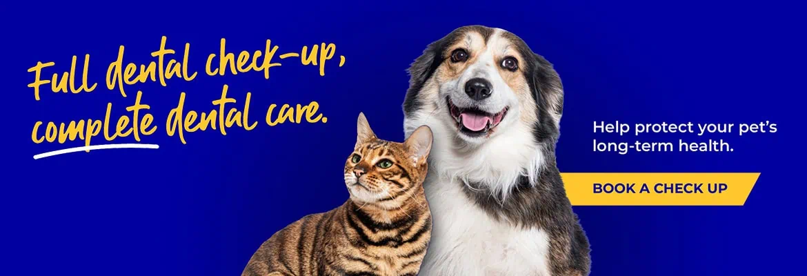 Vets in Farnham | Vets in Aldershot | Cathcart & Winn
