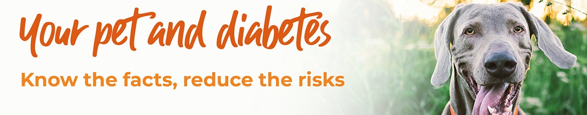 Your Pet and Diabetes