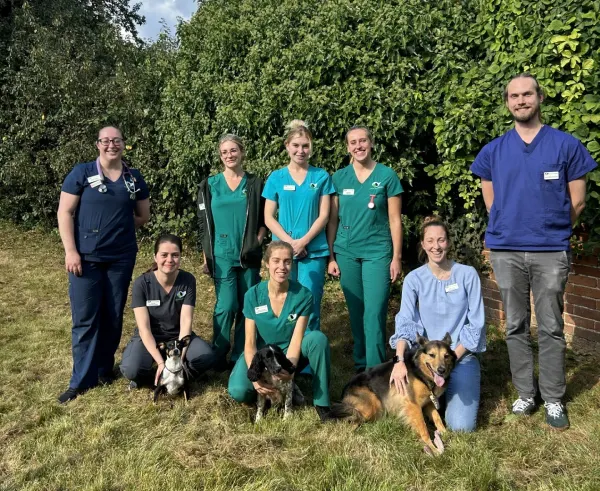 vet practice in farnham award dog-friendly by Dogs Trust